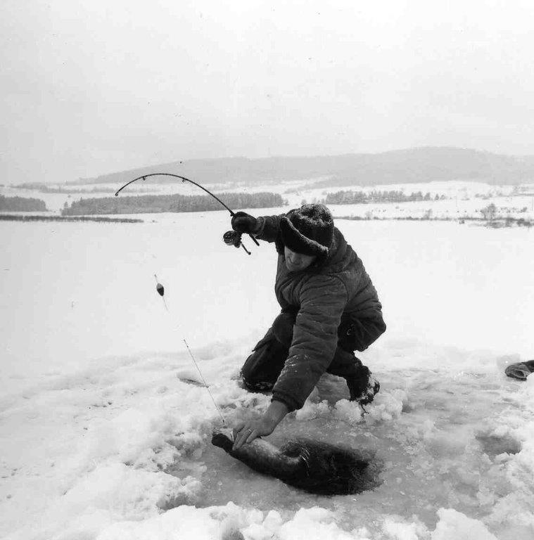 Lov na dirkách povolen Lipno 1965