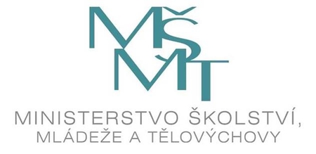 msmt logo