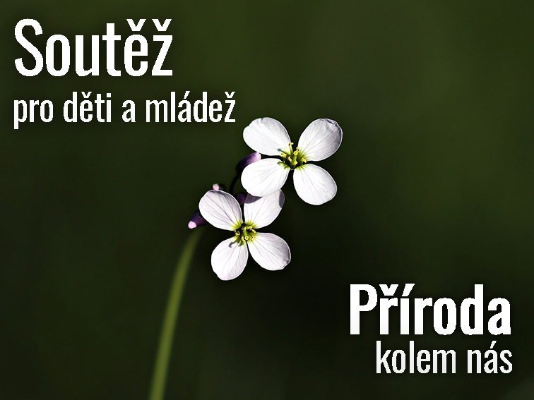 priroda poster