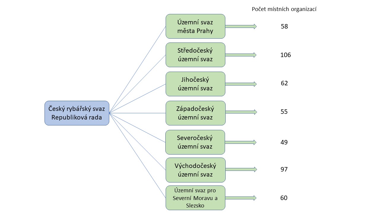 struktura ČRS 2022