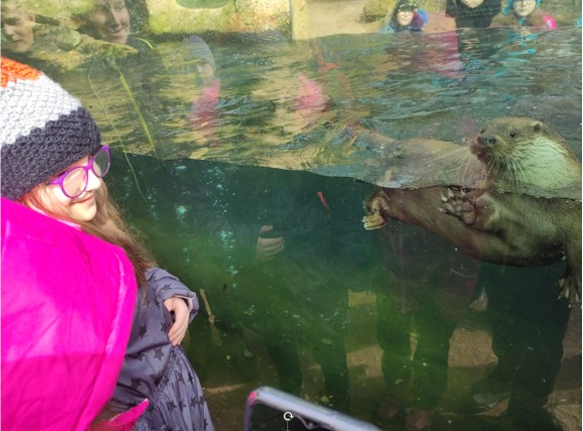 Snímek obrazovky 2023 03 27 121847