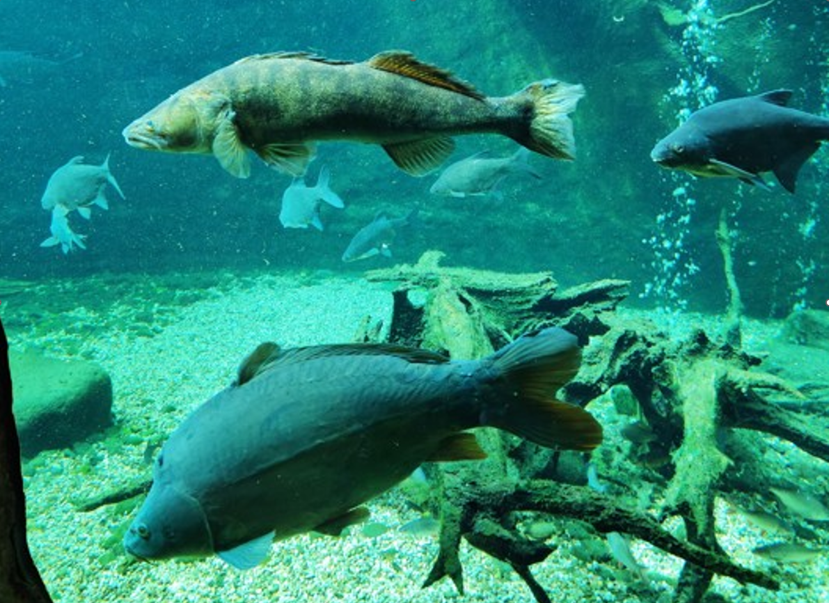 Snímek obrazovky 2023 03 27 121857