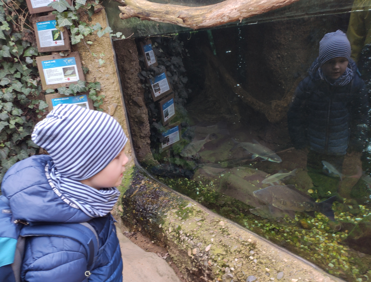 Snímek obrazovky 2023 03 27 121918