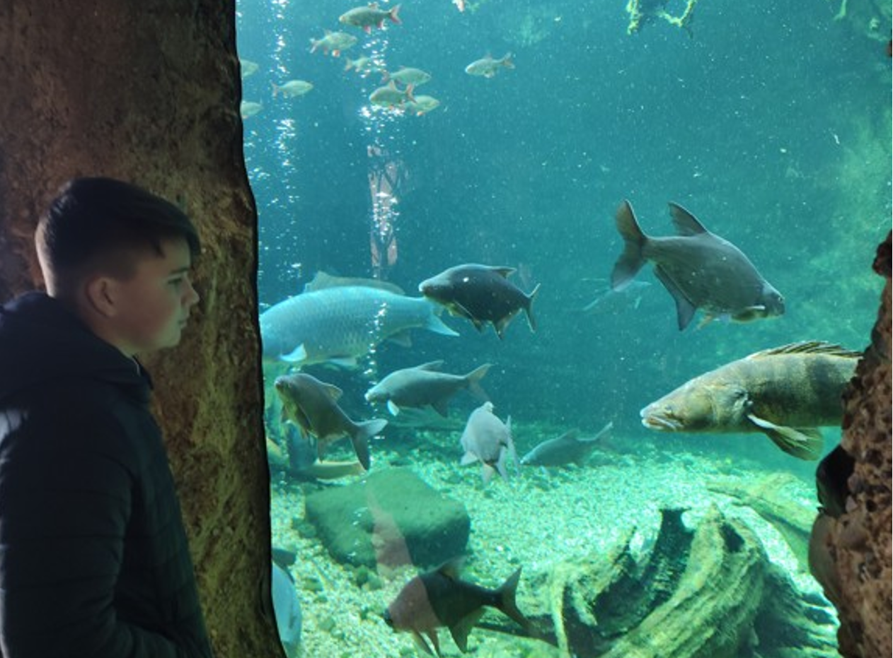 Snímek obrazovky 2023 03 27 121934