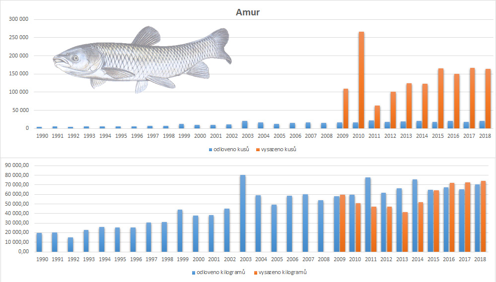 amur