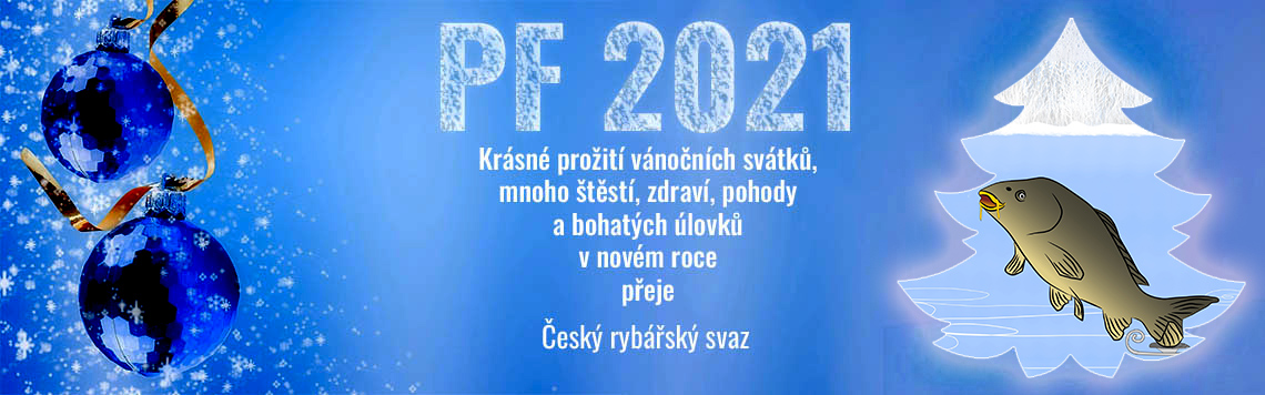 pf vanocni 4