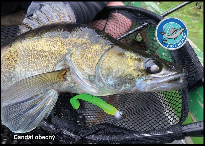 Snímek obrazovky 2023 12 04 124530