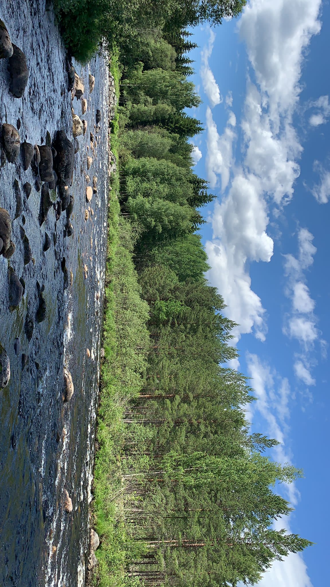 PHOTO 2022 06 30 16 29 06