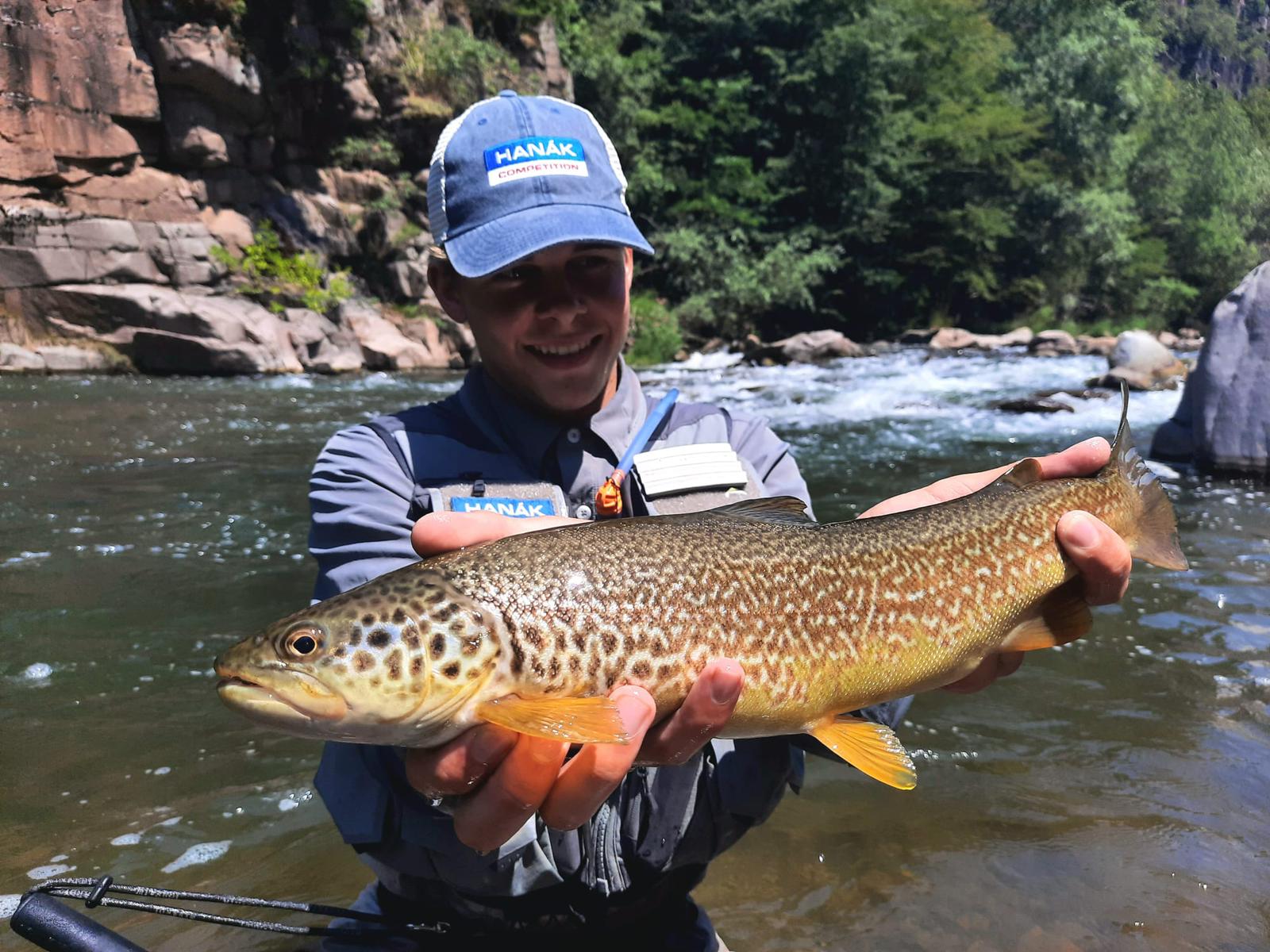 PHOTO 2022 07 16 17 12 18